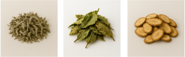 20여종 천연 약초